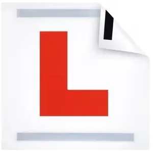 Strip Magnetic L Plate (1 pc)